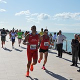 Settima edizione Re Manfredi Run 2024 - 10 Km. corsa su strada - Foto n. 245