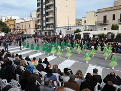 Sfilata Carri allegorici, Gruppi e Meraviglie 2016. Foto 024