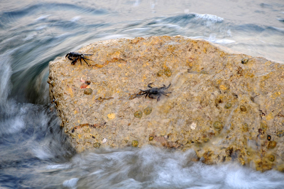 spiaggia