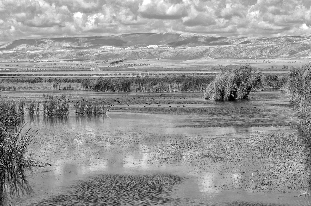 Oasi Lago Salso