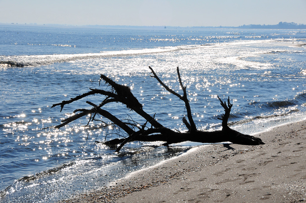 Spiaggia di Siponto